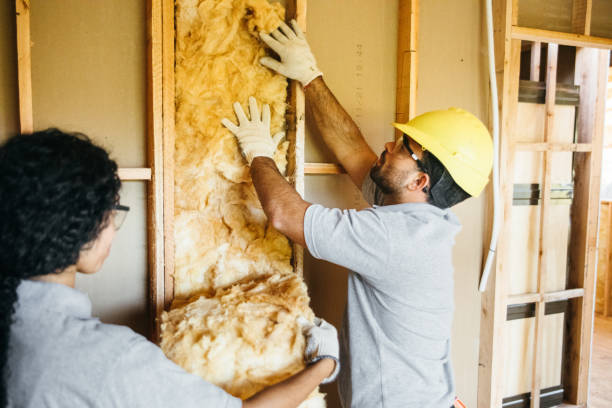 Best Blown-In Insulation  in Sparta, GA